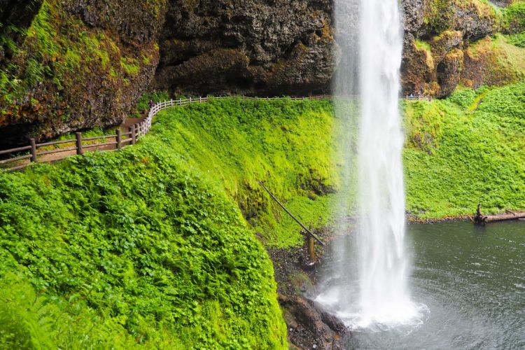 Planning a trip to Oregon in the near future? Check out this Portland itinerary, full of great foodie spots, waterfall hikes, and vista points! See all the highlights in 3 days in Portland!