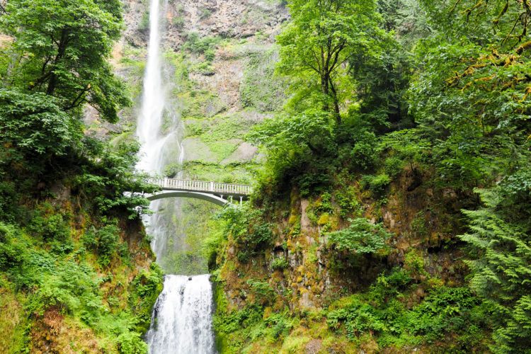 Planning a trip to Oregon in the near future? Check out this Portland itinerary, full of great foodie spots, waterfall hikes, and vista points! See all the highlights in 3 days in Portland!