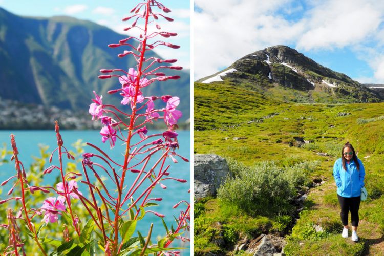 Norway Road Trip Itinerary: All the stops you'll want to make if you've got 10 days in Norway!