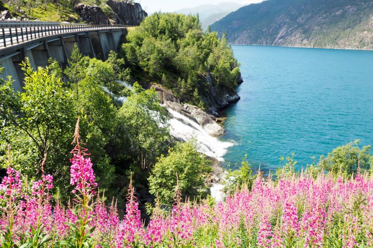 Norway Road Trip Itinerary: All the stops you'll want to make if you've got 10 days in Norway!