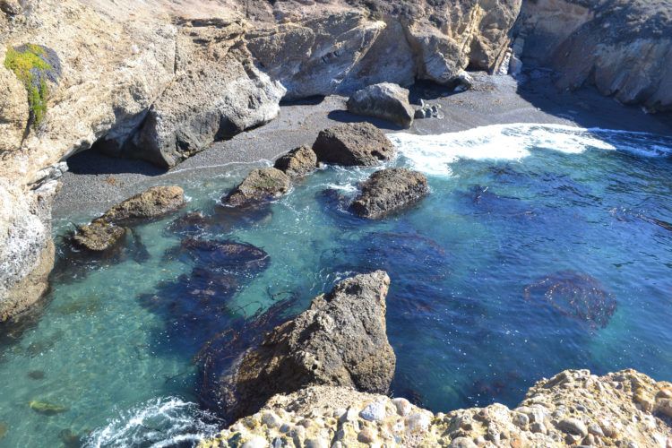 Heading to California and wondering what to do in Big Sur? Read on for my favorite Big Sur activities, where to stay, and (most importantly), what and where to eat! This Big Sur road trip itinerary will have you booking flights to California ASAP, promise!