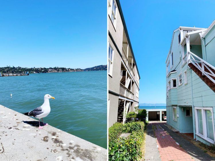 Viaggio a San Francisco e in cerca delle migliori cose da fare a Sausalito? Continua a leggere non solo per sapere cosa fare a Sausalito, ma anche per consigli su ristoranti, tour di Sausalito e altri posti da non perdere!