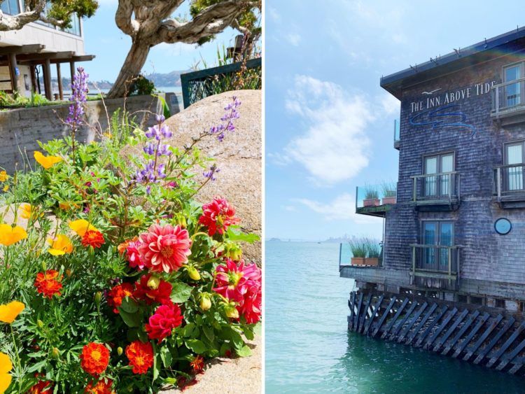 Heading to San Francisco and looking for the best things to do in Sausalito? Keep reading for not only what to do in Sausalito, but for plenty of restaurant recommendations, Sausalito tours, and other not to miss hot spots!