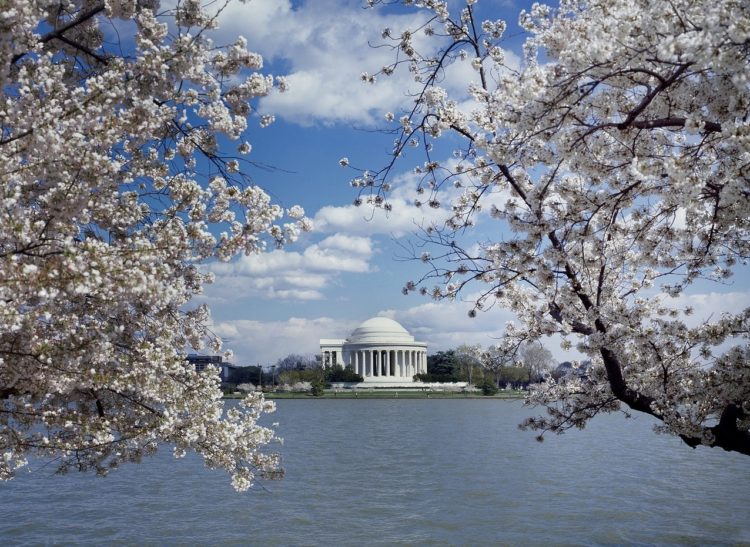 A weekend in Washington DC itinerary: The Perfect 3 Days in Washington DC