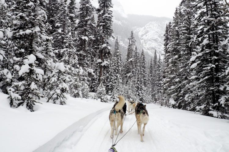 Things to do in Banff in Winter: What to do, where to eat, all the Banff winter activities, and tons of tips and tricks. COMPLETE 5 day itinerary for inspiration as well!