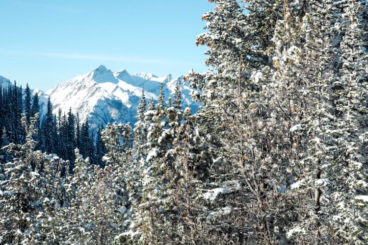 Things to do in Banff in Winter: What to do, where to eat, all the Banff winter activities, and tons of tips and tricks. COMPLETE 5 day itinerary for inspiration as well!