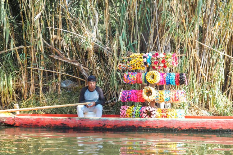 Planning your trip and looking for the best Mexico City itinerary?! Whether you’ve got a full week or just 3 days in Mexico City, you can be sure you’ll never be left bored.