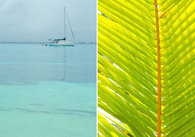 Thinking about adding a few days in the San Blas Islands to your Panama trip? Good choice- you’ll be rewarded with forests of coconut palms, luminous aquamarine waters, remote Caribbean islands, and seafood meals consisting of the freshest fish possible.