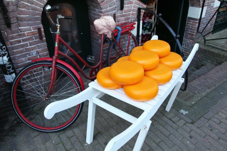 Headed to The Netherlands and looking for the best day trips from Amsterdam? Wanna get out of the city to see a bit more of what the Netherlands has to offer? Well- look no further! Keep reading for some fab additions to your Dutch adventure!