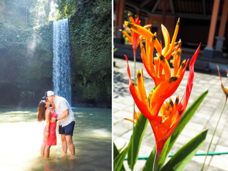 Heading off to Bali and looking for the perfect Ubud itinerary? Good choice! Read on for the ultimate way to spend 3 days in Ubud!