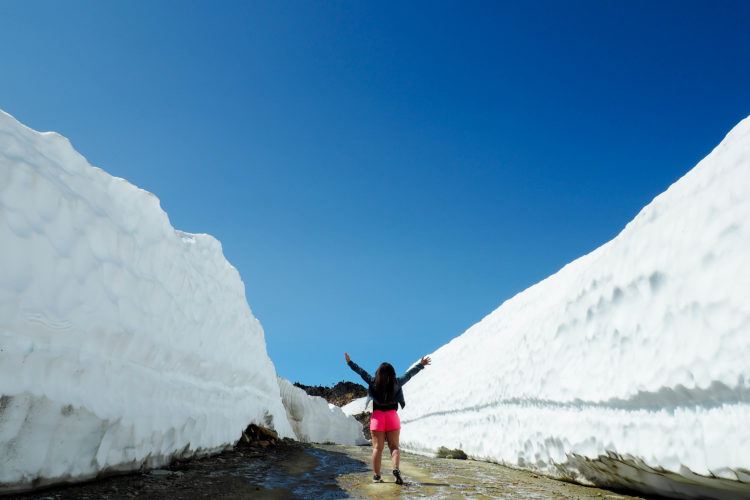 Vancouver to Banff Drive: scenic stops along the way