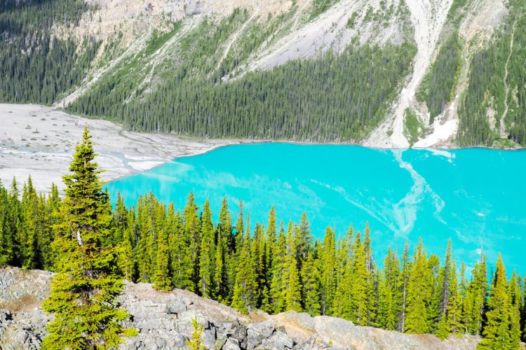 calgary tours to banff and jasper