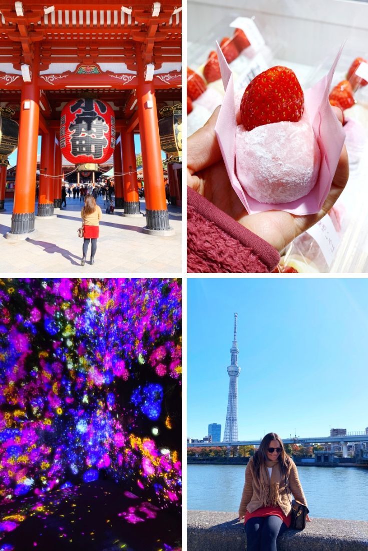 2019 Year in Review - Tokyo