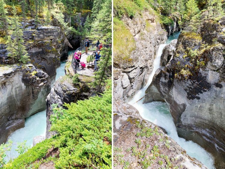 calgary tours to jasper