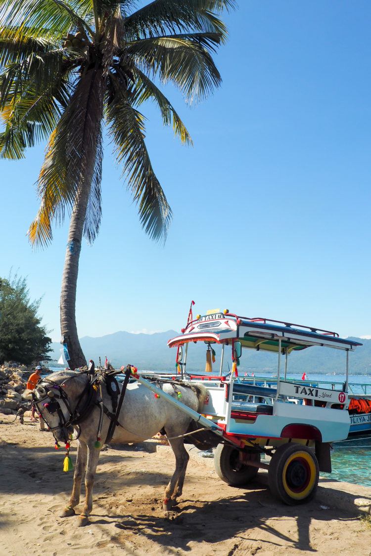 gili air trip bali