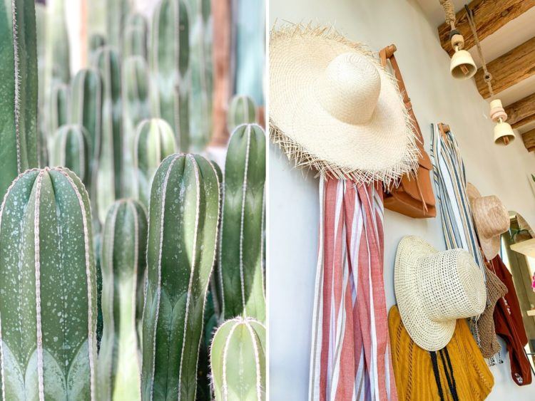 Best things to do in Todos Santos: The Ultimate Guide to Mexico's Chillest Artist Village