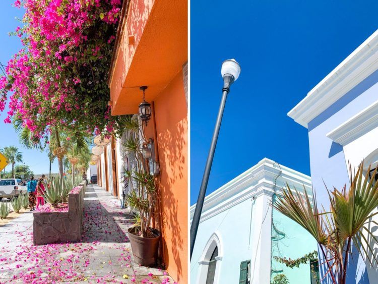 Best things to do in Todos Santos: The Ultimate Guide to Mexico's Chillest Artist Village