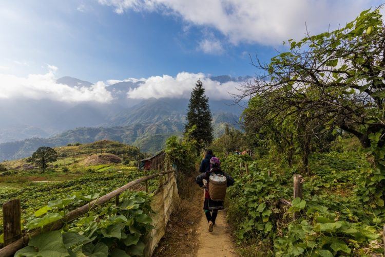 Headed to Vietnam and looking for the best things to do in Sapa? Read on for a complete Sapa itinerary, where to stay, when to visit, and what to eat!