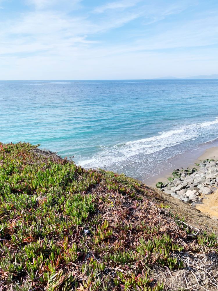 San Francisco to Santa Cruz road trip guide! All the stops you need to make down Highway 1!