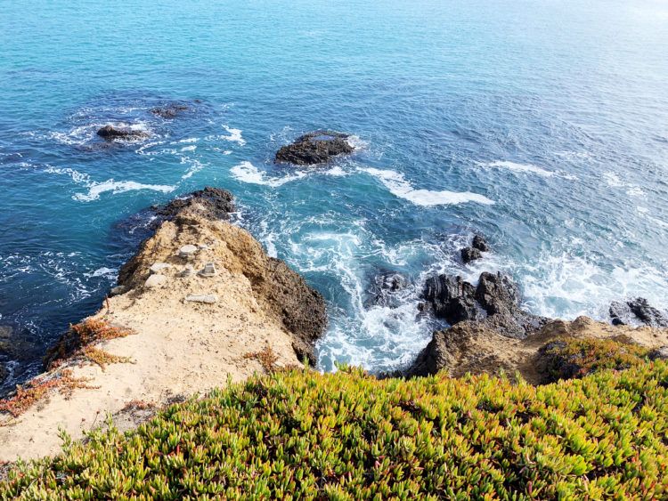 San Francisco to Santa Cruz road trip guide! All the stops you need to make down Highway 1!