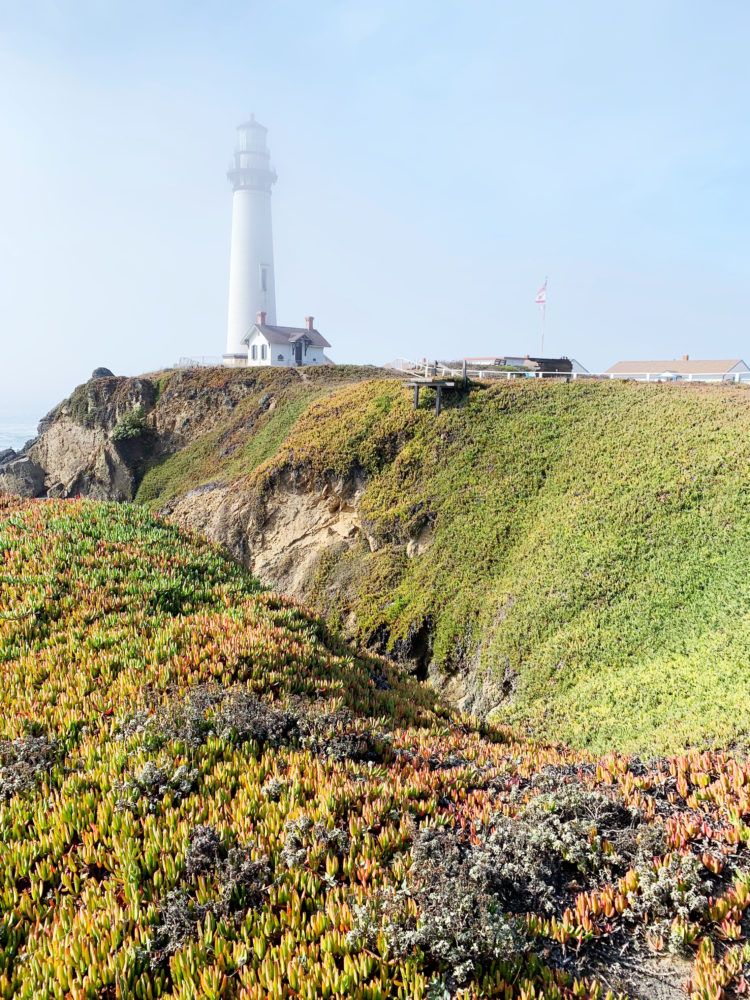 The BEST 75 Pacific Coast Highway Stops: All my Favorite Places on the PCH! FULL Pacific Coast Highway road trip itinerary guide!