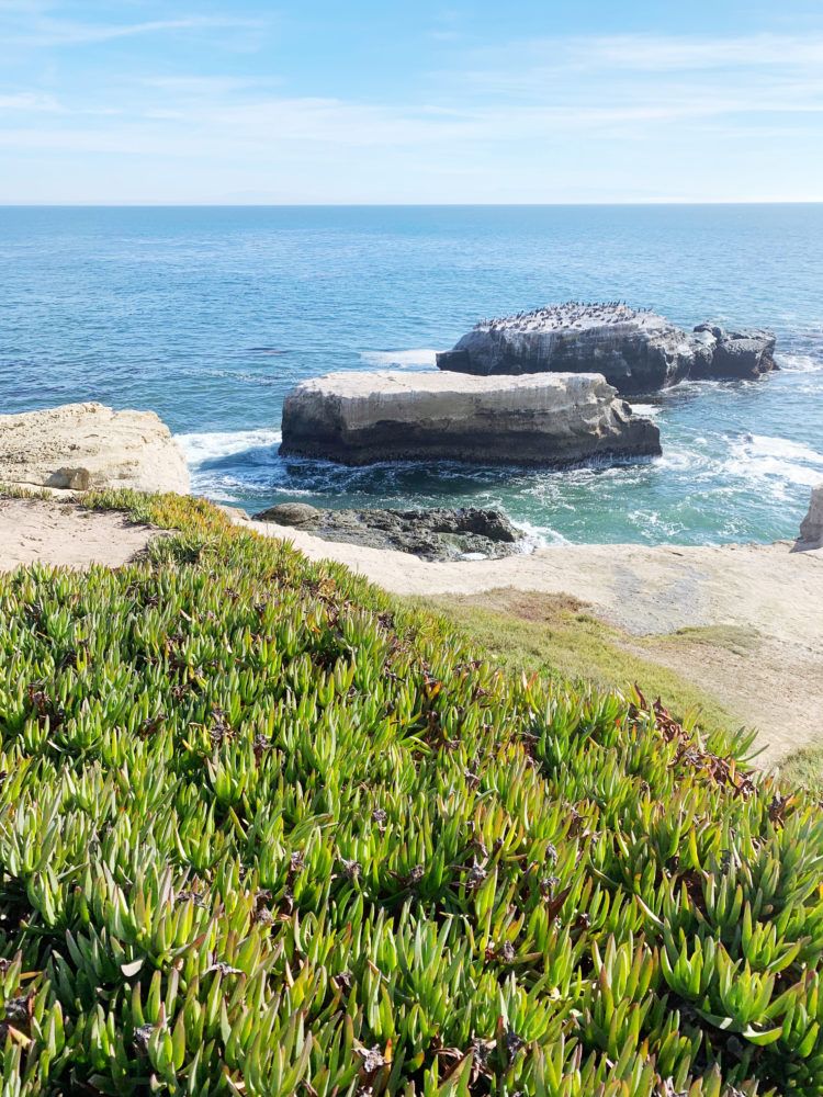 Road Trips from San Francisco: All the easiest escapes from the city!