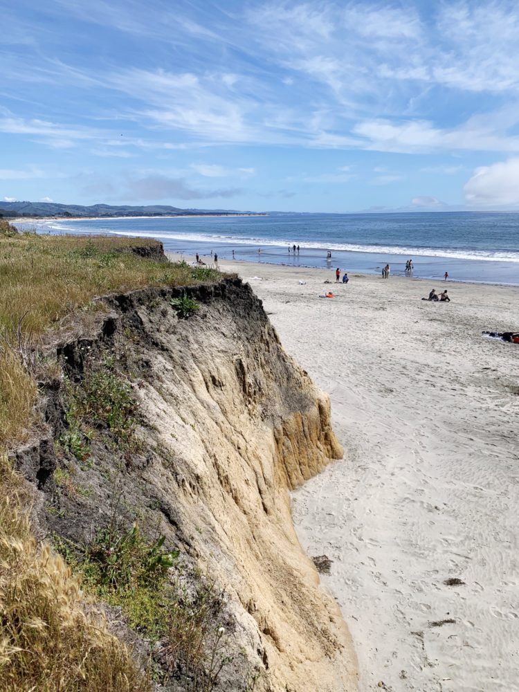 Coming to Half Moon Bay Beaches This Summer? ﻿Here are Tips and Reminders -  Coastside Buzz