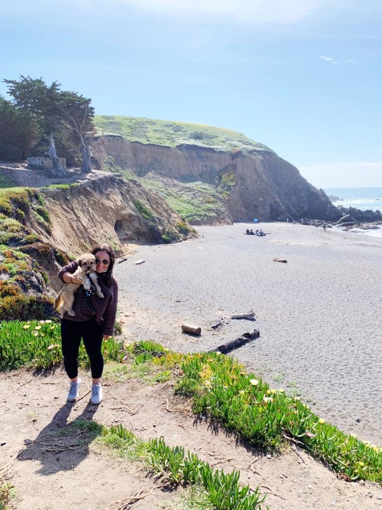 Looking for the best hikes in Pacifica, California? Look no further! I've rounded up my favorite Pacifica hiking trails with panoramic coastal views!