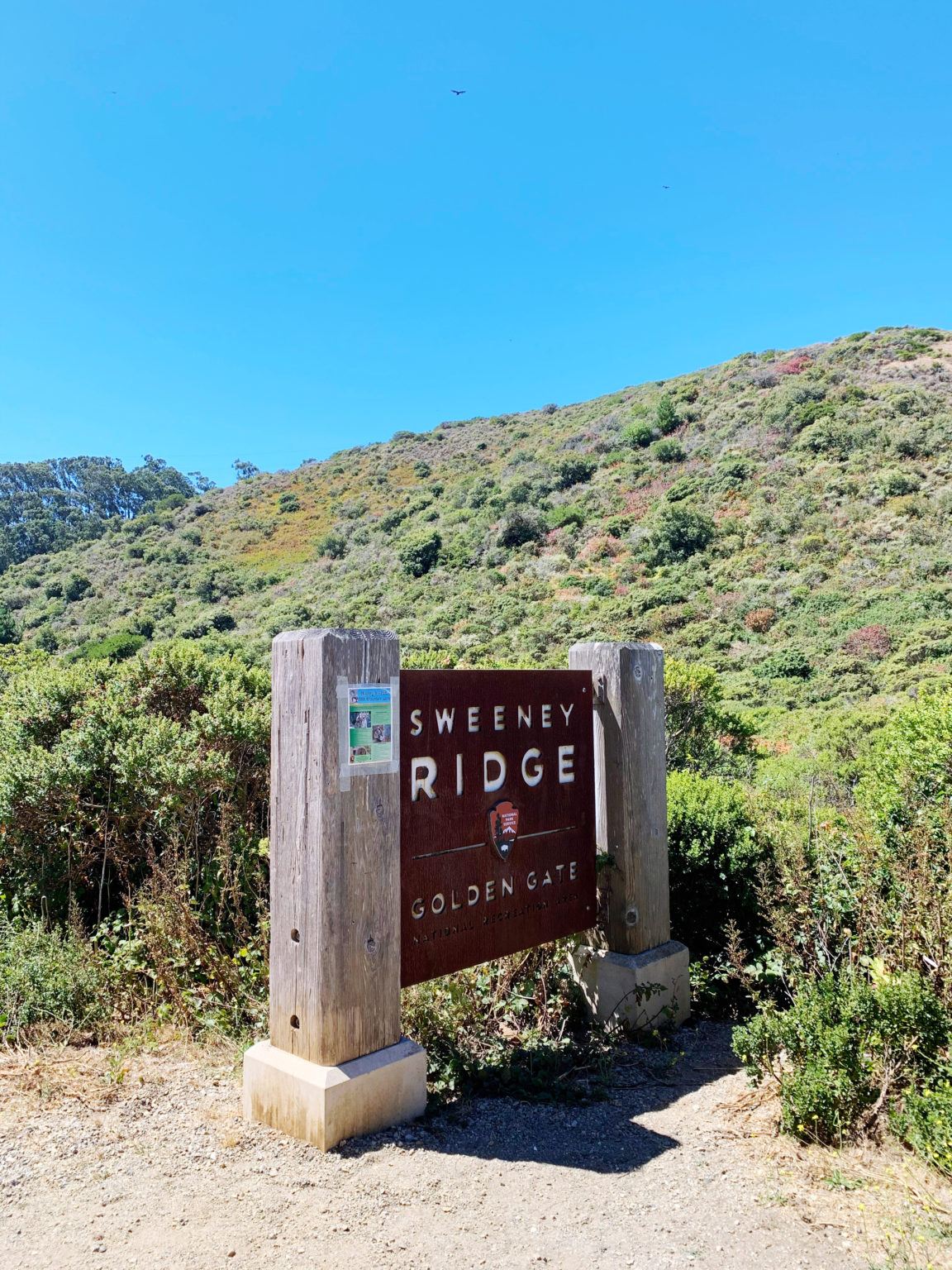 Sweeney Ridge Sweeney-Ridge-Pacifica-trail-2 • A Passion and A Passport