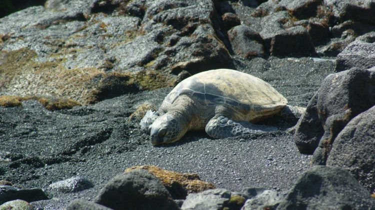 bucket list tour hawaii