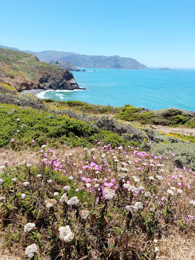 Looking for the best hikes in Pacifica, California? Look no further! I've rounded up my favorite Pacifica hiking trails with panoramic coastal views!