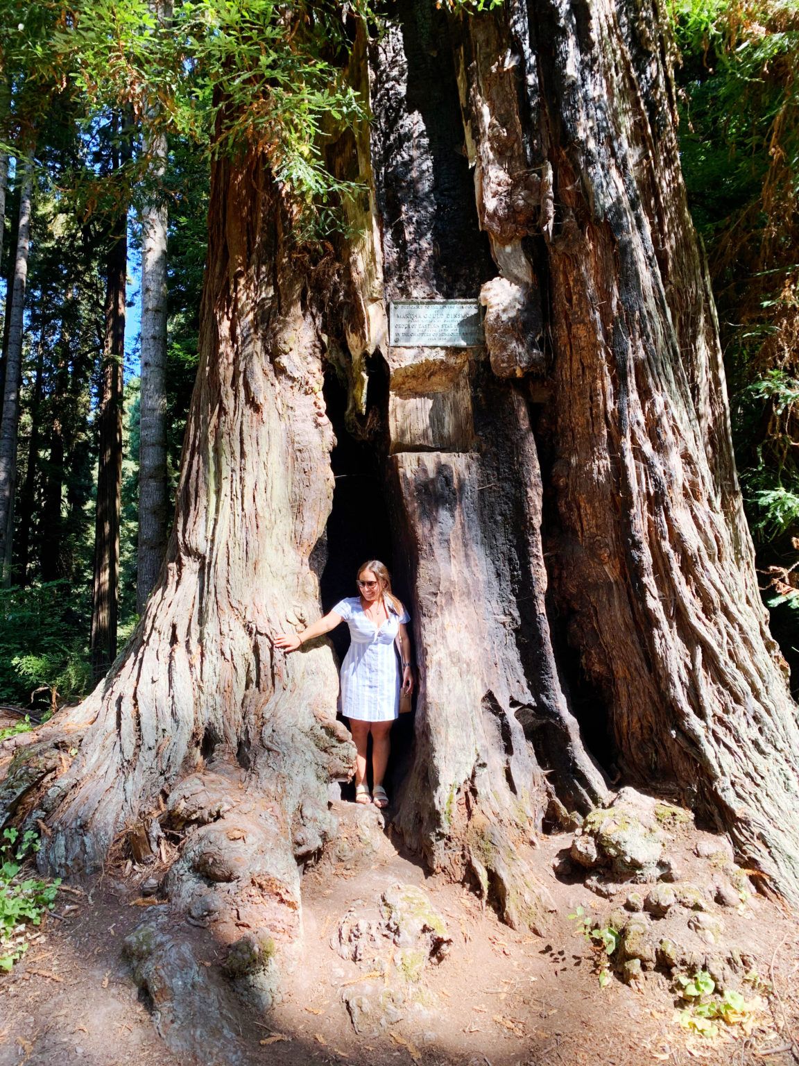 Best Things to do in Eureka, California (Full Weekend Guide + Tips!)