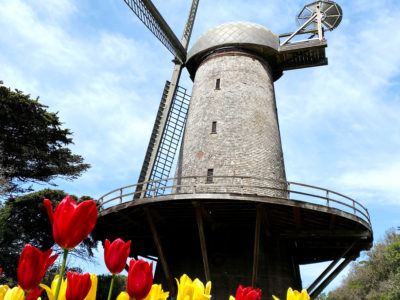 Best Gardens in San Francisco