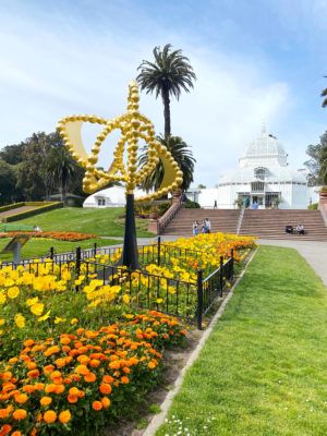 Best Gardens in San Francisco