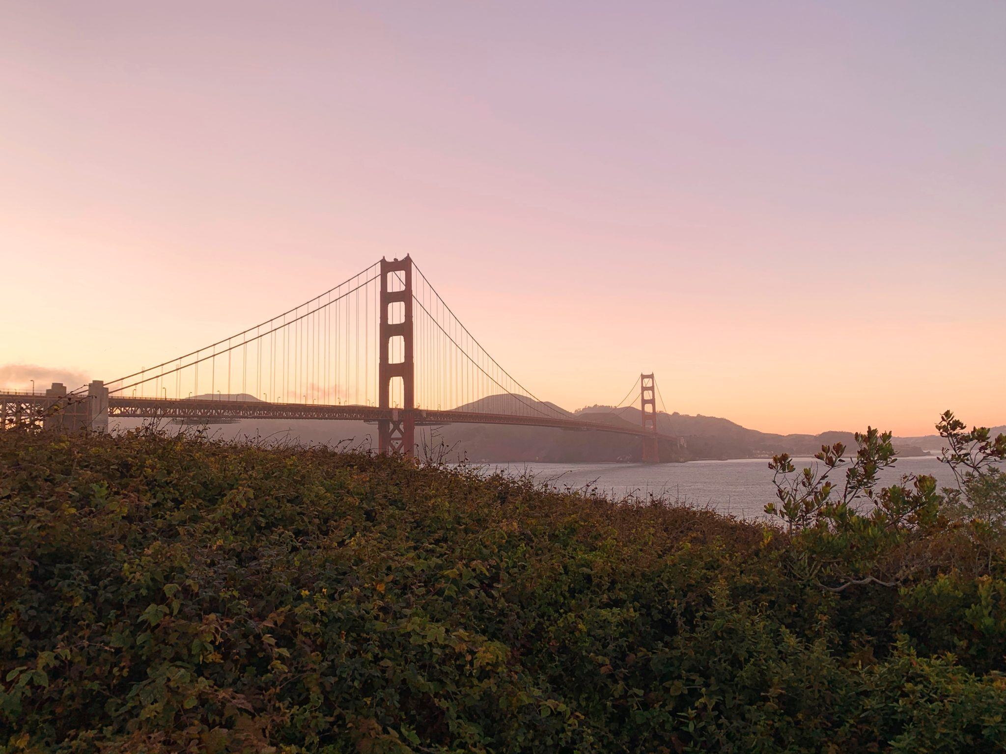 San Francisco Craigslist: Hidden Gems & Unexpected Treasures - dj574gl