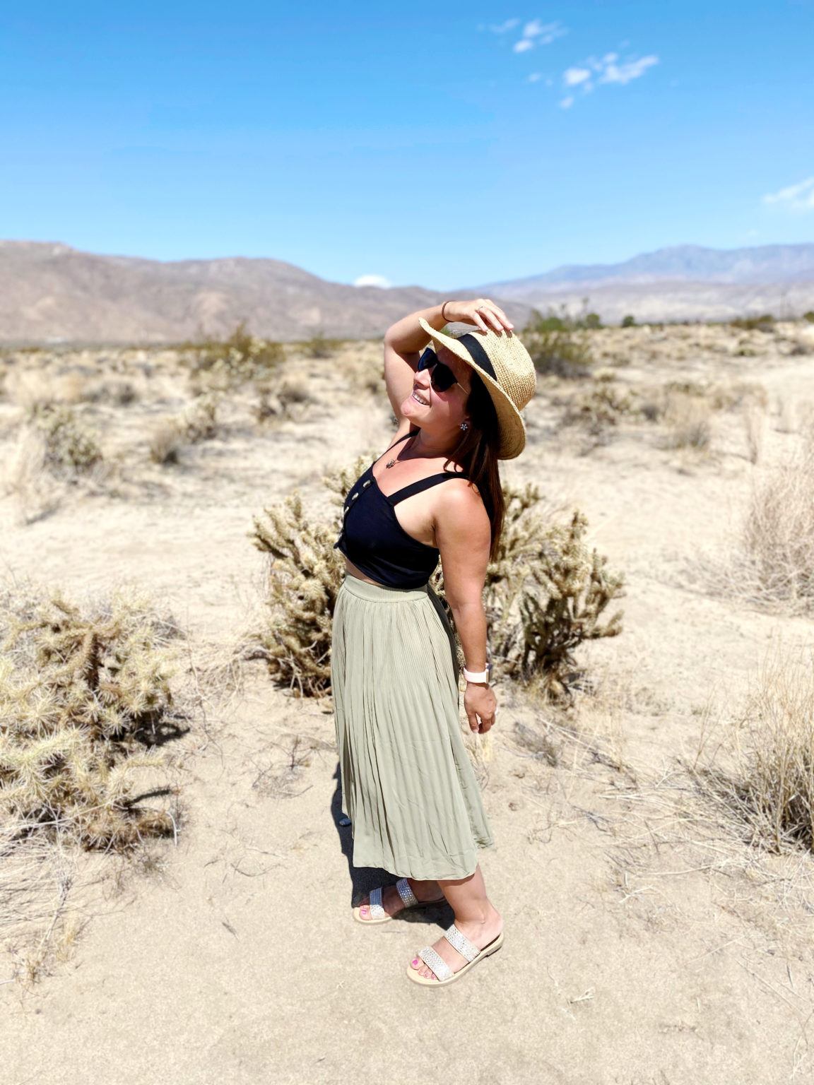 8 Things To Do In Borrego Springs: Full Guide + Two Day Desert Itinerary