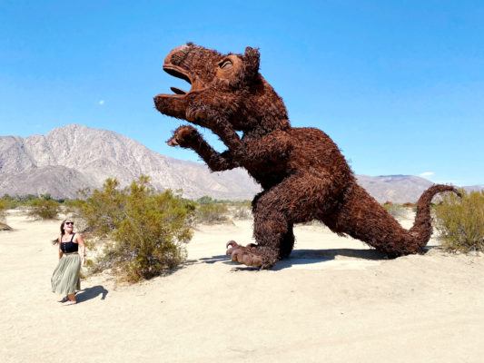 Things to do in Borrego Springs: Everything You Need to Know to Plan The Best Trip!