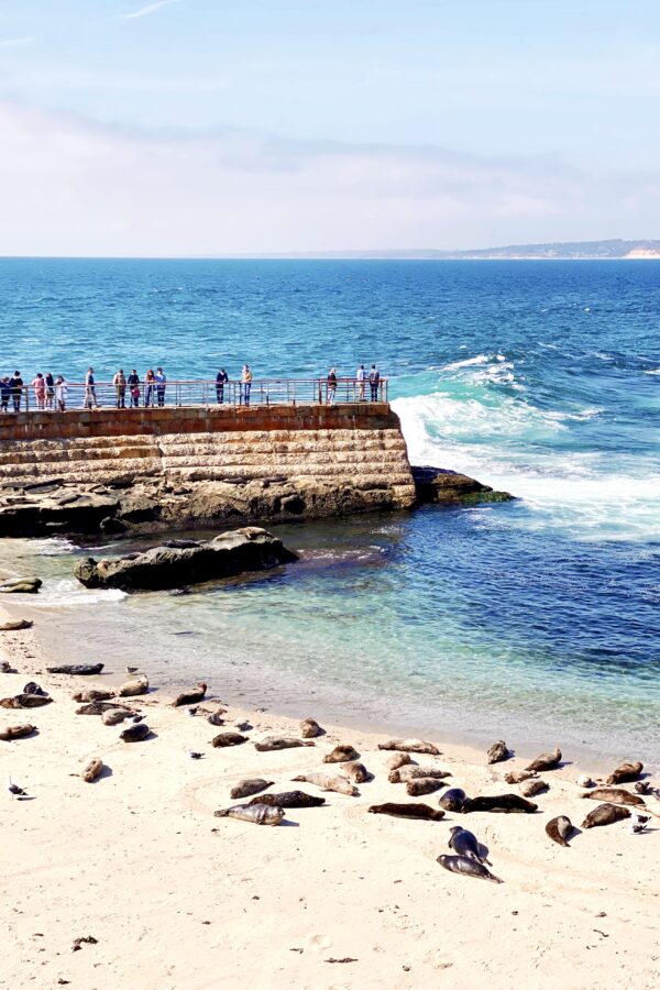 Best Photo Spots in San Diego: 50+ Most Instagrammable Places in San Diego!