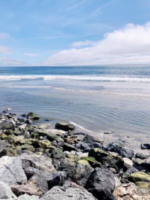 Best Beaches in Half Moon Bay California: all my favorites!