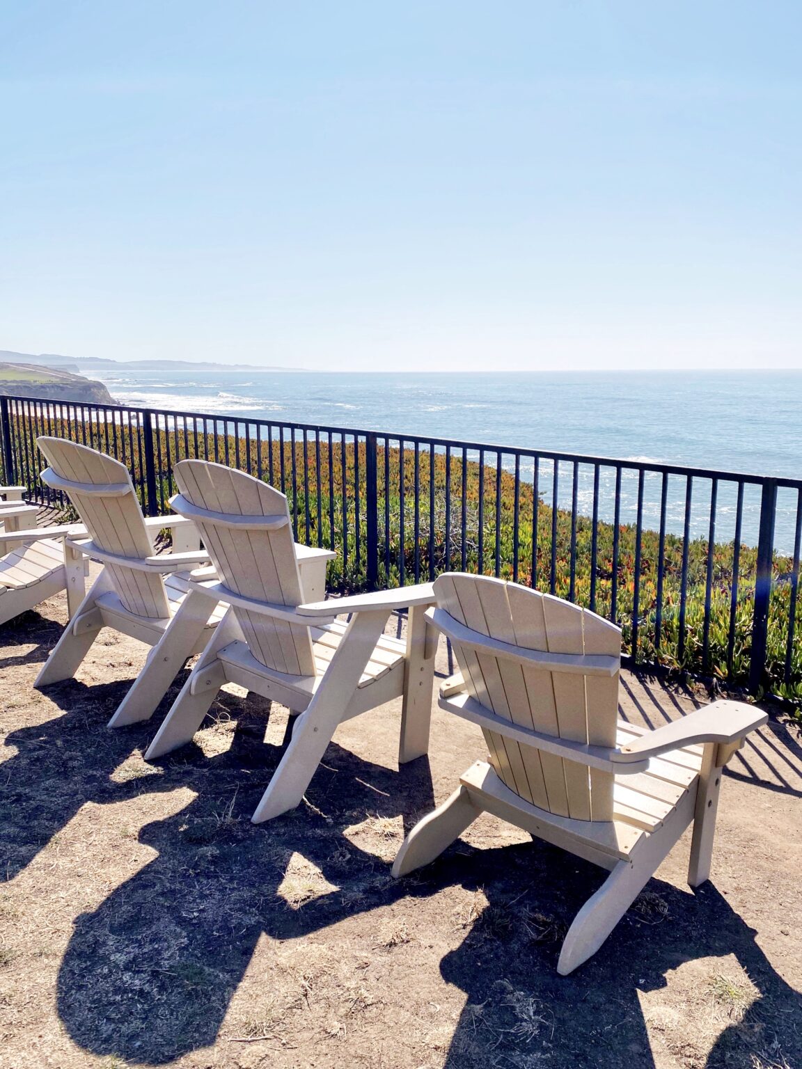 25+ Things To Do in Half Moon Bay The Ultimate Weekend Guide