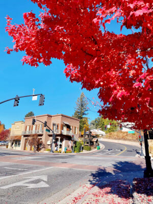 Best Things to do in Nevada City, California: full weekend guide!