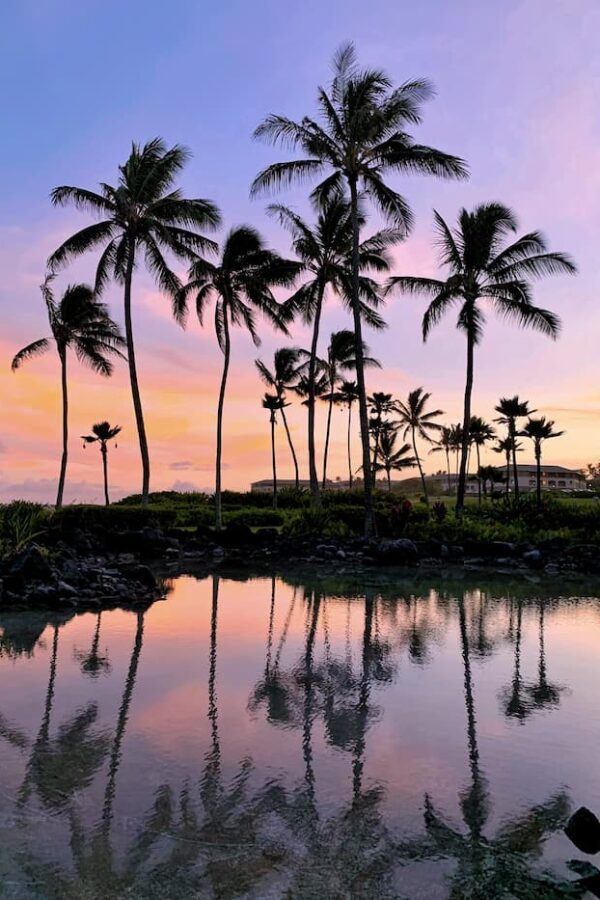 Hawaii.