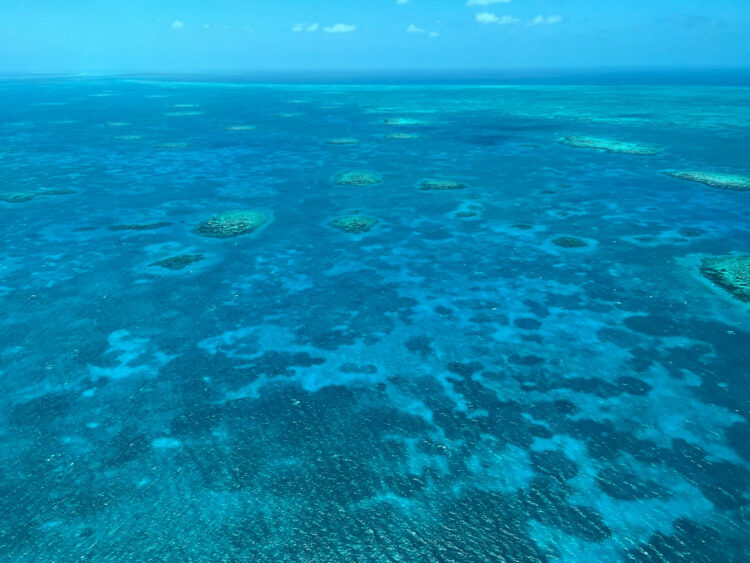 flying over the great blue hole in Belize