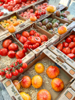 Provence itinerary