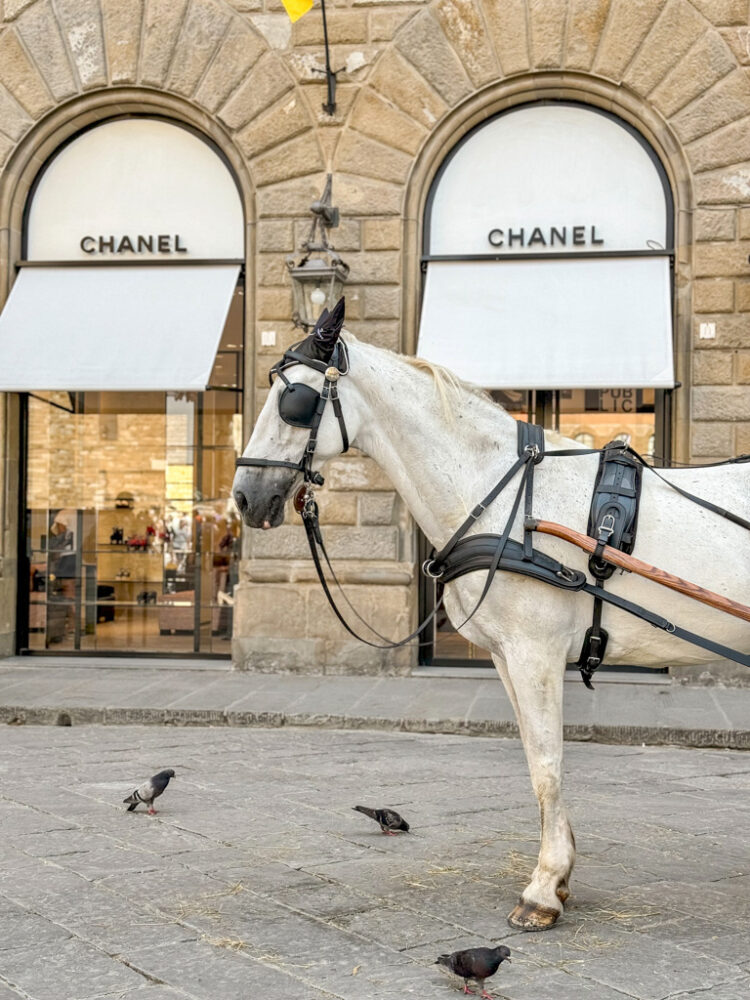 Florence itinerary 3 days