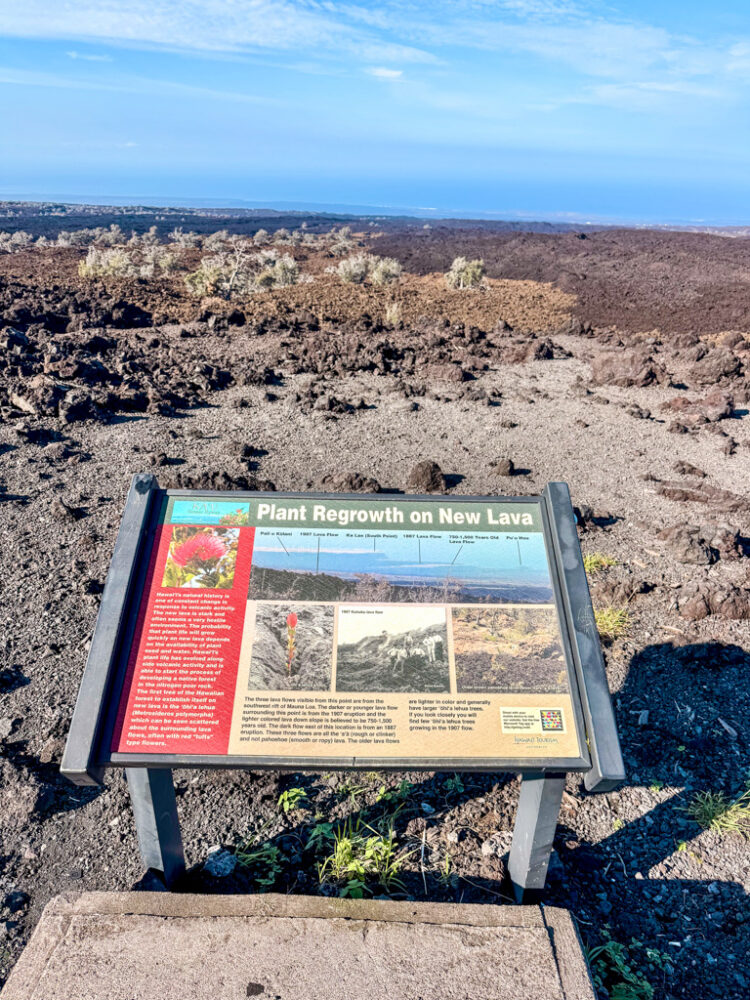one day in Hawaii Volcanoes National Park