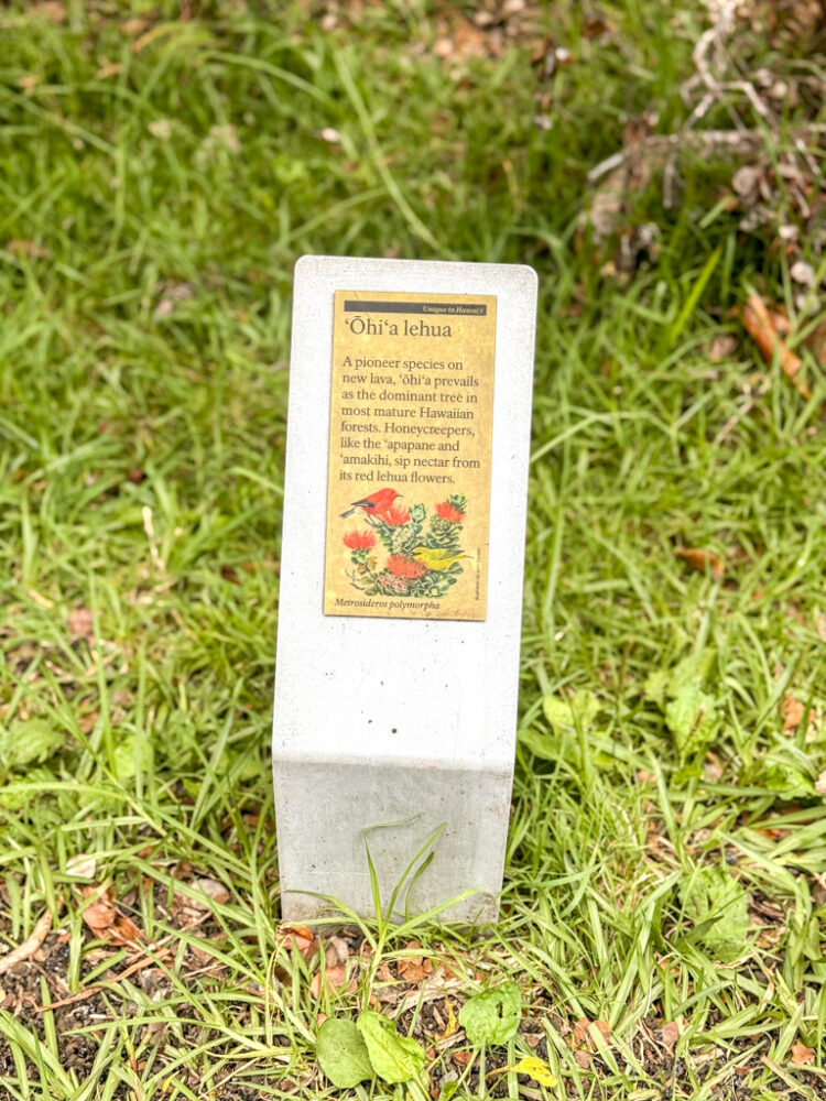 Hawaii Volcanoes National Park itinerary