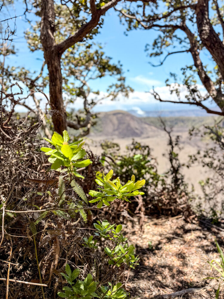 Hawaii Volcanoes National Park itinerary