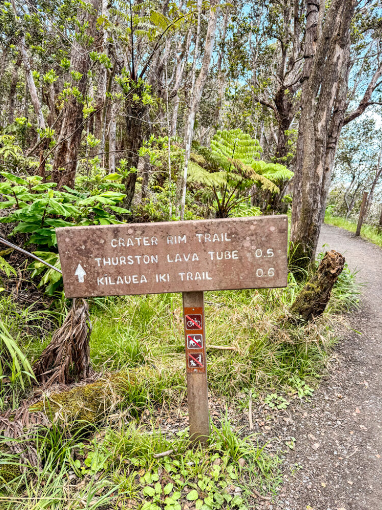 one day in Hawaii Volcanoes National Park