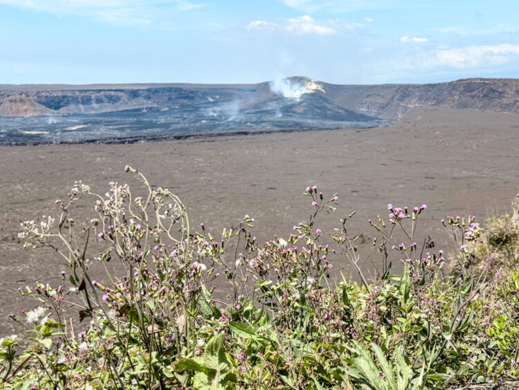 one day in Hawaii Volcanoes National Park